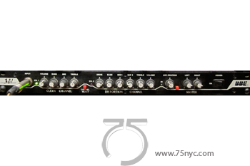 Enlarged view of image